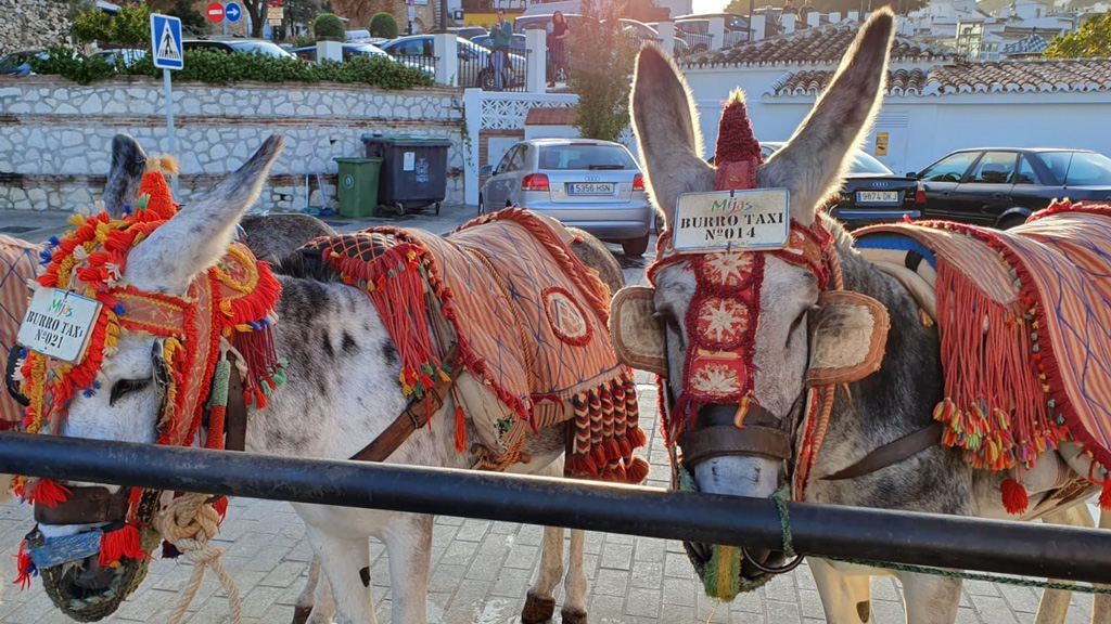 Marbella06 BusinessEliteDrive 2019